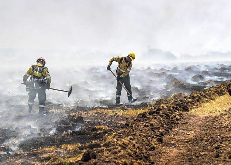 Los incendios en Corrientes ya consumieron más de 800 mil hectáreas.