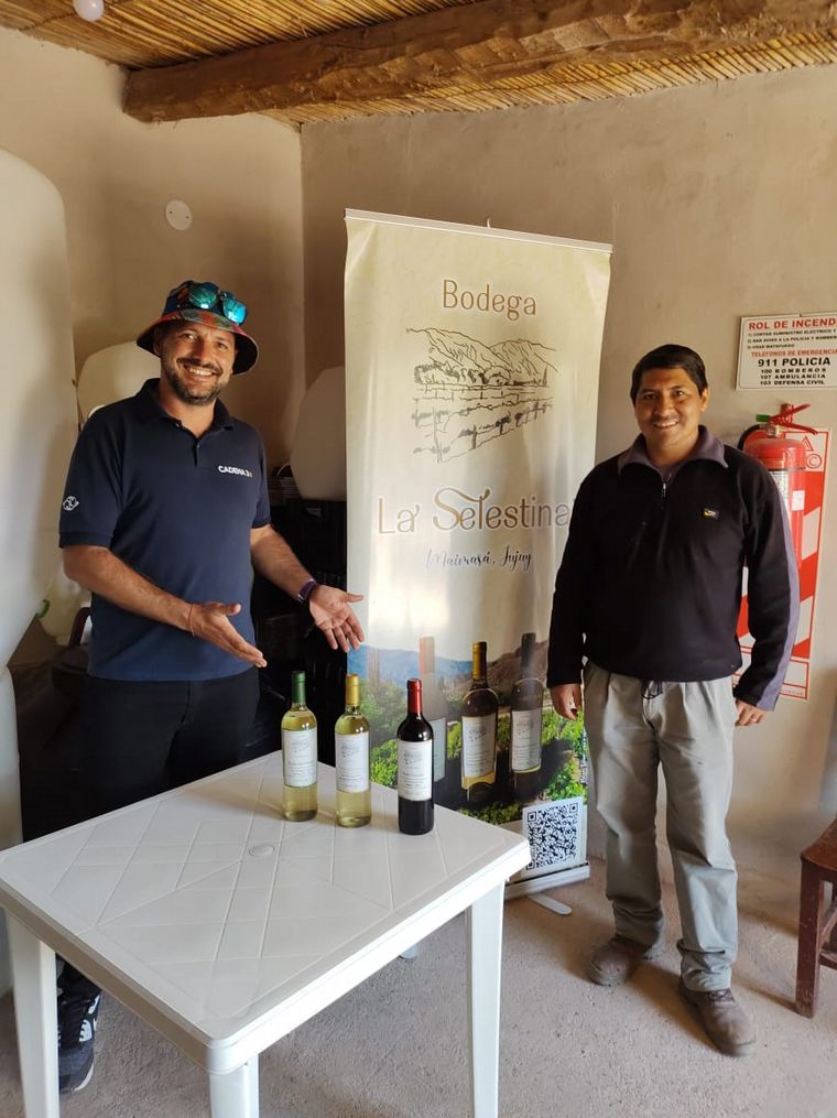 La Selestina, vinos de altura que sorprenden al país