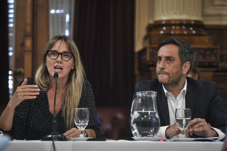 Juan Cabandié, en su exposición en el Senado.