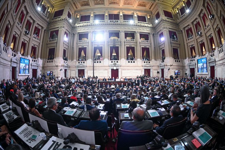 Alberto Fernández, en la Apertura de Sesiones del Congreso.