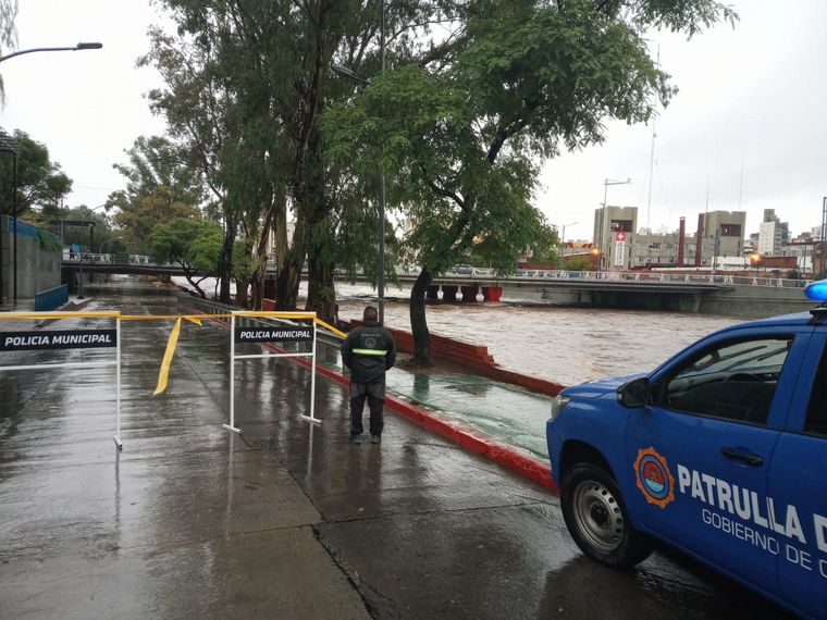 AUDIO: Por el temporal, cayó un árbol en Nueva Córdoba