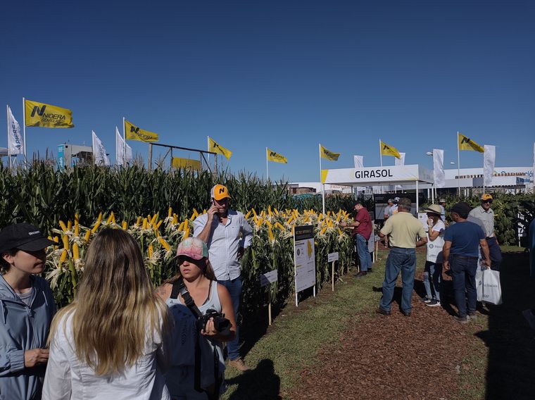 Mucho público en el plot de Nidera