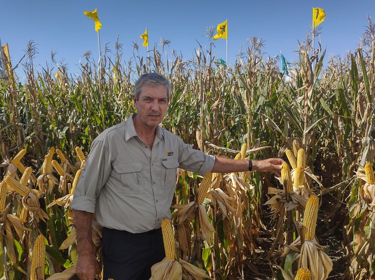 Claudio Pastor junto al híbrido 7621
