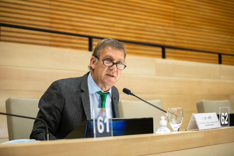 Levantaron la suspensión partidaria y no habrá sanciones para Arduh.