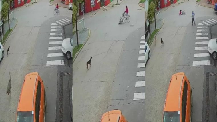 El hecho ocurrió en Ranchos (Foto: Captura/La Arena)