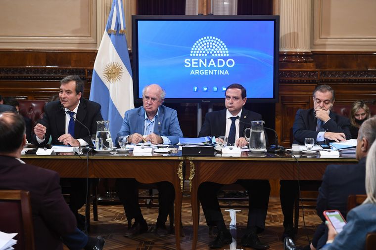 El ministro de Justicia, Martín Soria, participó del plenario de comisiones. 