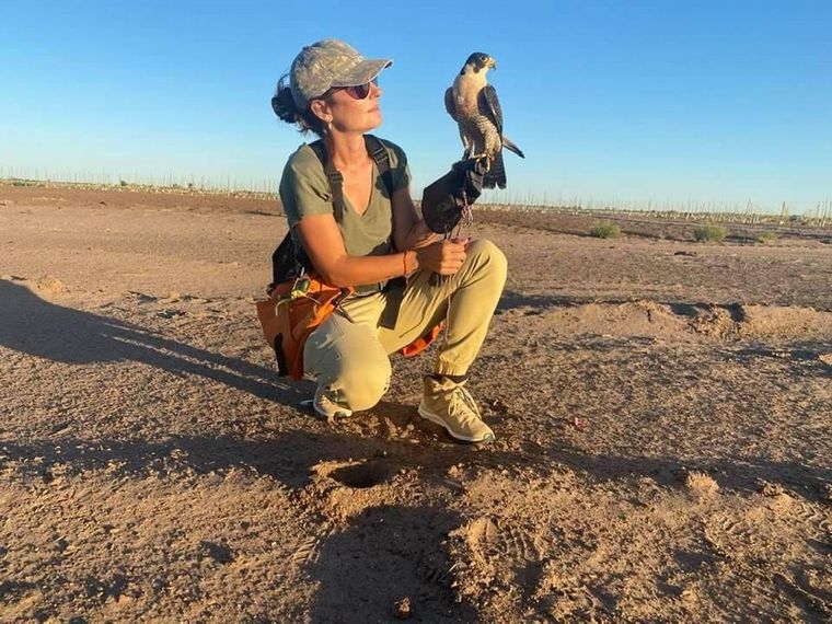 Luciana con su gavilán 