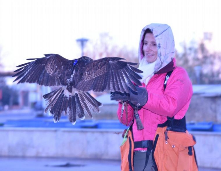 Luciana con su gavilán 