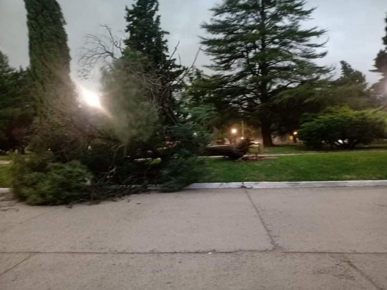 La tormenta ocasionó importantes daños en Jovita.