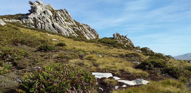 Mount Longdon, la infernal batalla de Puerto Argentino