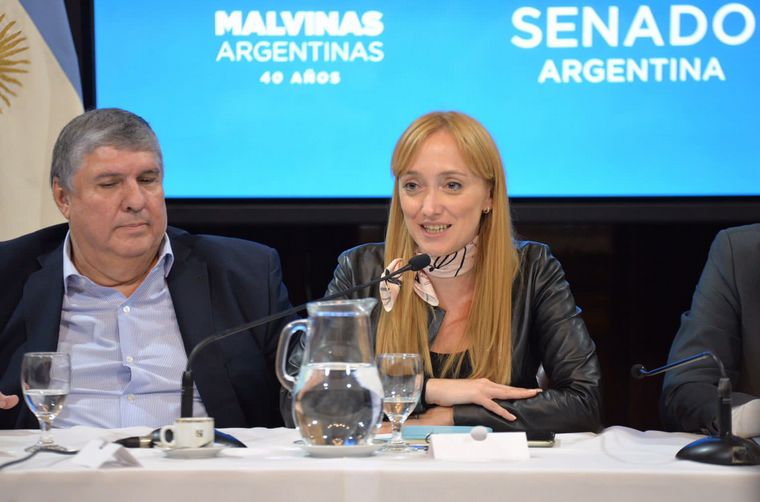 Senado: debaten proyecto de pagar al FMI con capital fugado al exterior.