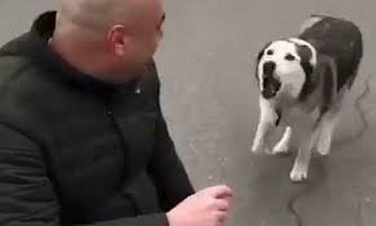 FOTO: Ucrania: la alegría de un perro al encontrarse con su dueño.