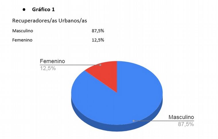 FOTO: Datos sobre los cartoneros de Rosario (Imagen: Rosario3).