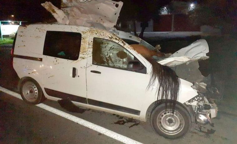 FOTO: Por el violento impacto, el caballo murió y quedó incrustado en el auto