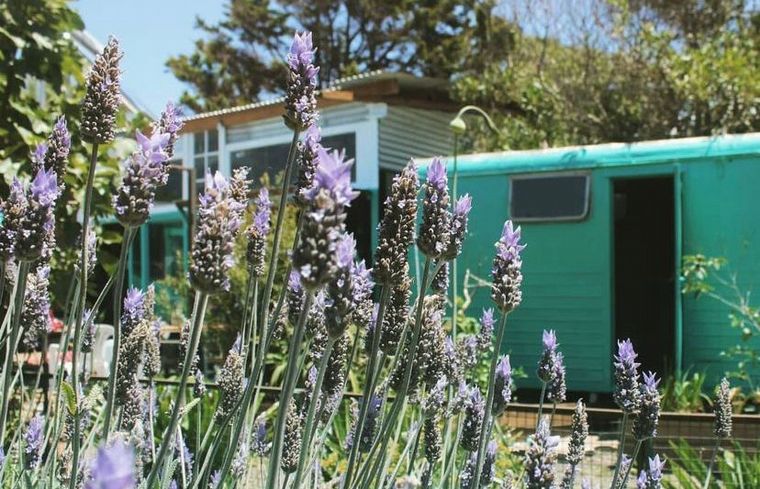 Tres días en Mar del Plata con todo incluido a 15 mil pesos