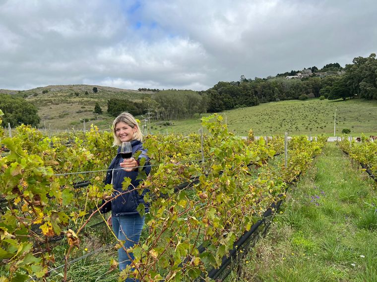 Conocé Cordón Blanco, el primer vino de Tandil