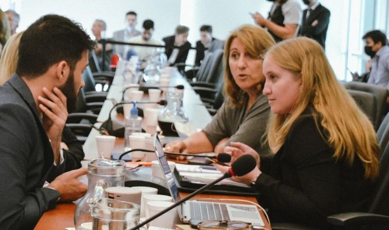 Mónica Fein en comisiones de la Cámara Diputados. 