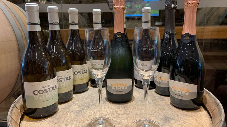 Un vino marplatense, entre los mejores del mundo