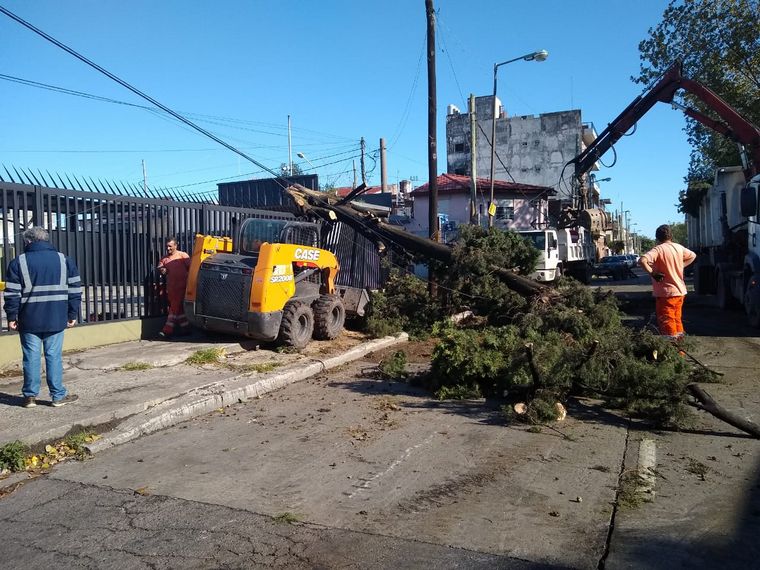 FOTO: Varios destrozos en Buenos Aires tras el temporal