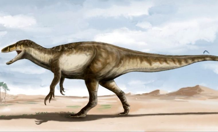 FOTO: El dinosaurio megaraptor Maip Macrothorax pesaba casi seis toneladas.