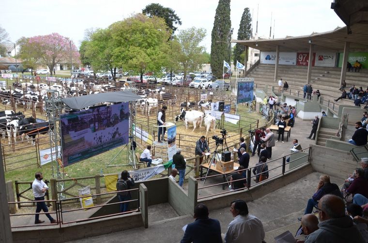 Los remates presenciales o en un mix con el streaming, siempre vigentes