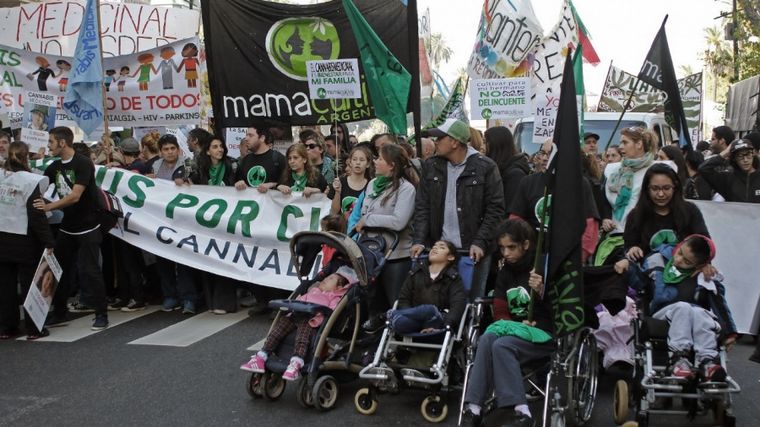 FOTO: Diputados del FdT reimpulsarán el debate sobre el proyecto de cannabis medicinal.
