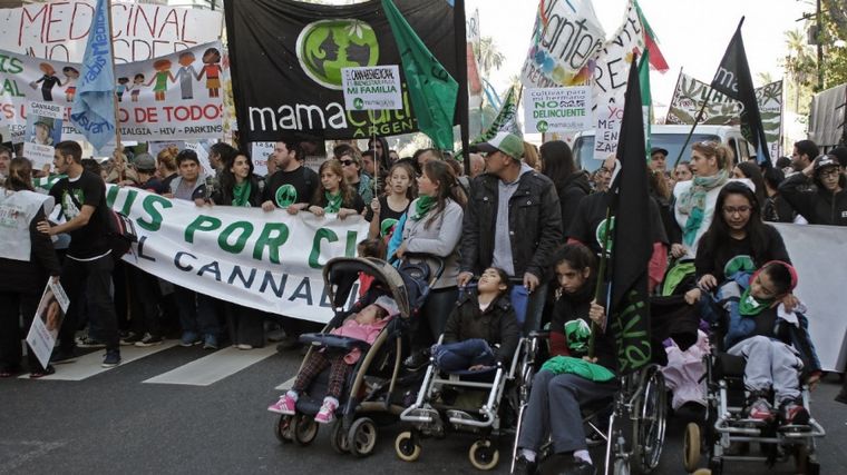 El Frente de Todos reimpulsará el debate del proyecto sobre cannabis medicinal