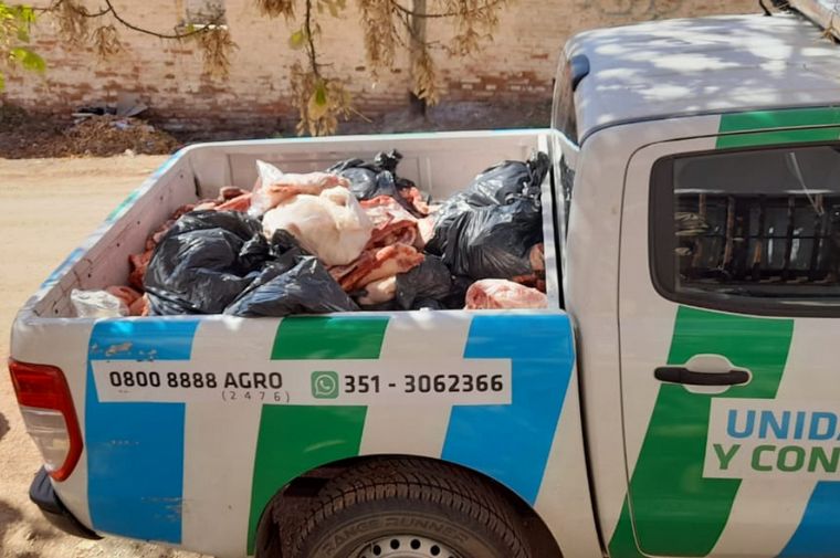 FOTO: Se secuestraron 500 kilos de carne bovina faenada de manera clandestina.