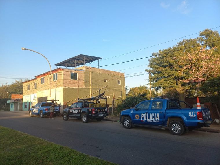 Hallaron ovejas, vacas, chivos y perros.