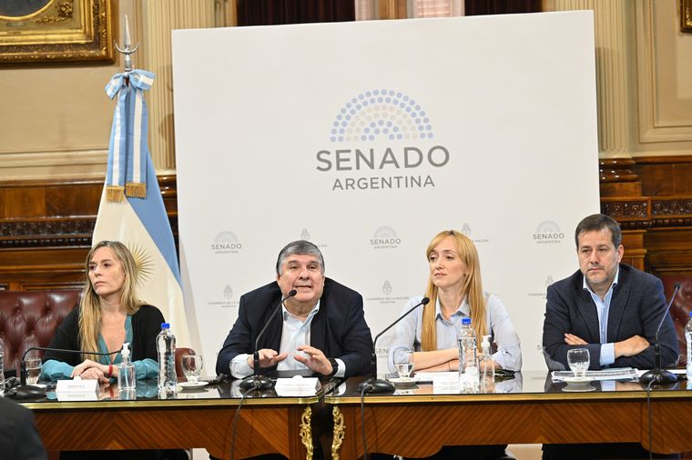 Los senadores que presentaron el proyecto sobre moratoria previsional.
