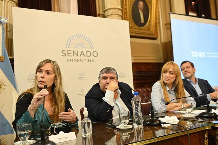 Los senadores que presentaron el proyecto sobre moratoria previsional.