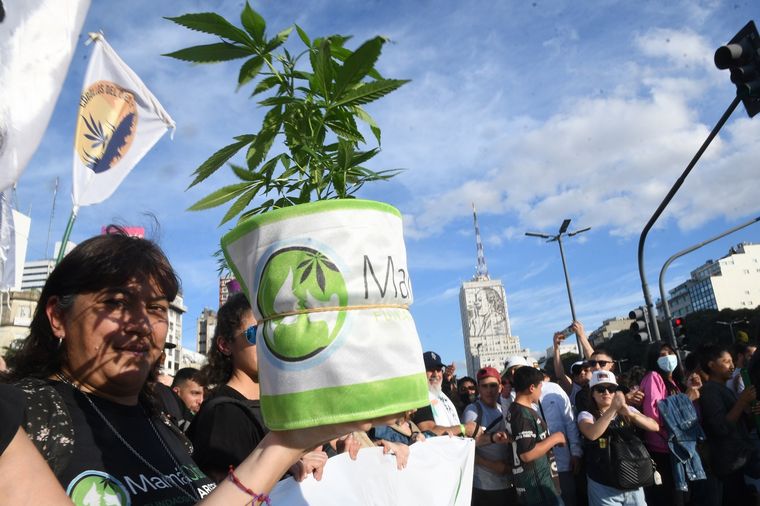 Multitudinaria marcha contra la criminalización de la marihuana.