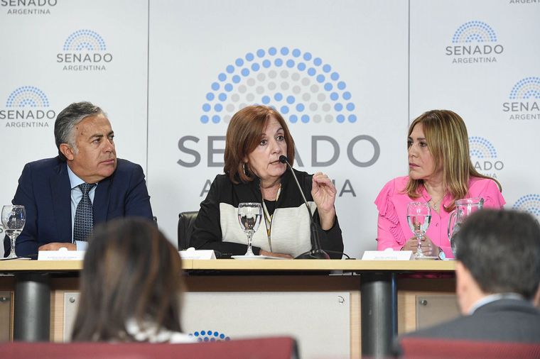 Alejandra Vigo presentó un proyecto de