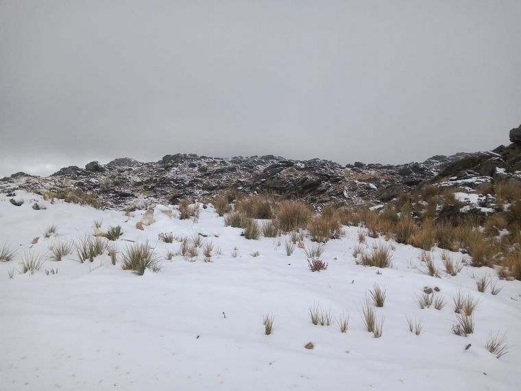 La nieve cubrió de blanco el Champaquí (Foto: @oscuraovera)