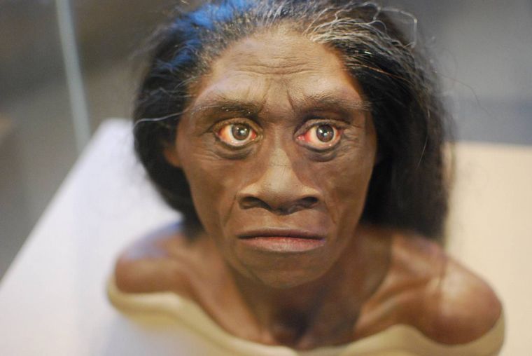 FOTO: Según un experto el Homo floresiensis viviría aún en Indonesia.