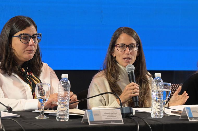 Elizabeth Gómez Alcorta encabezó la sesión ordinaria del Consejo Federal de Mujeres. 