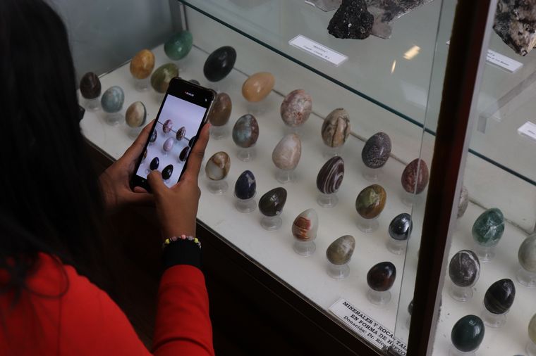 Museo de Minerología y Geología.