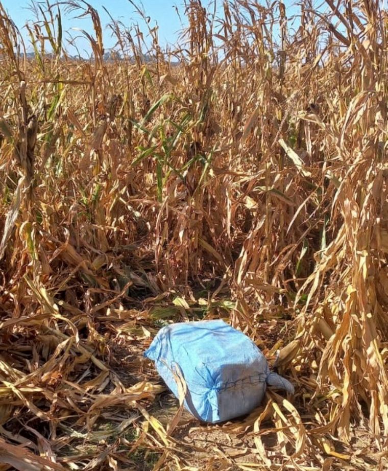 FOTO: Nuevo hallazgo: encuentran 175 kilos de cocaína en Santa Fe