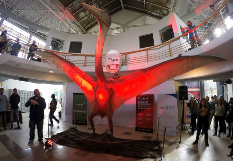 Presentan al Dragón de la Muerte