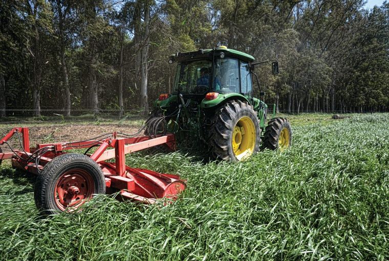 La capacitación responde a una nececidad del mercado laboral de la región.