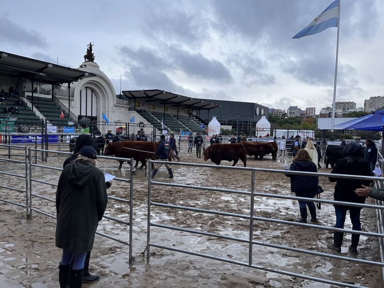 ¿Así de lluvioso habrá sido en 1810? En 25 de Mayo, con agua en la pista de la Rural