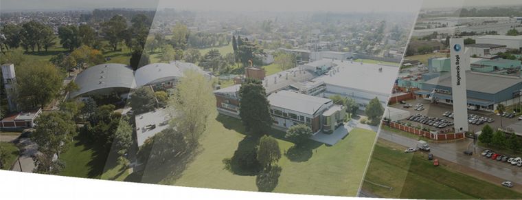 Una nueva solución para prevenir salmonelosis en los bovinos