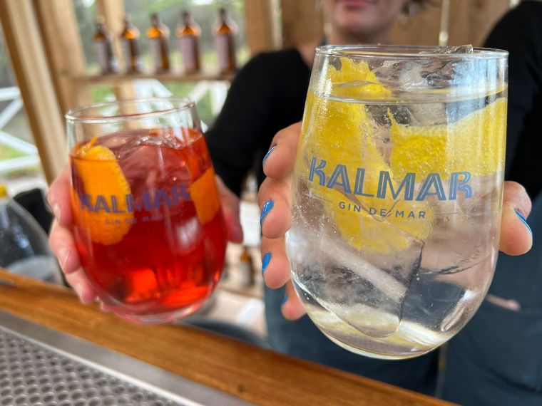 Una destilería marplatense fue elegida la mejor del país