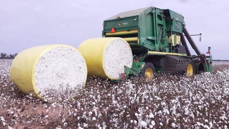 Un productor agropecuario contó cómo atraviesan la crisis por la falta de gasoil