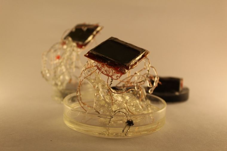 La capital provincial cuenta con un novedoso programa para el arte y la tecnología.