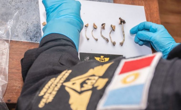 Operativo de la FPA en Nueva Córdoba.