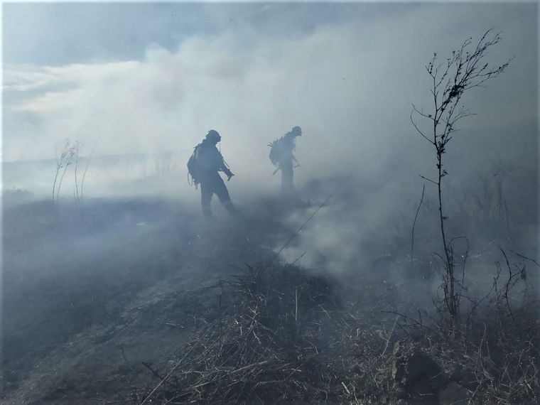 Brigadistas combaten incendios, una postal repetida en los últimos años.