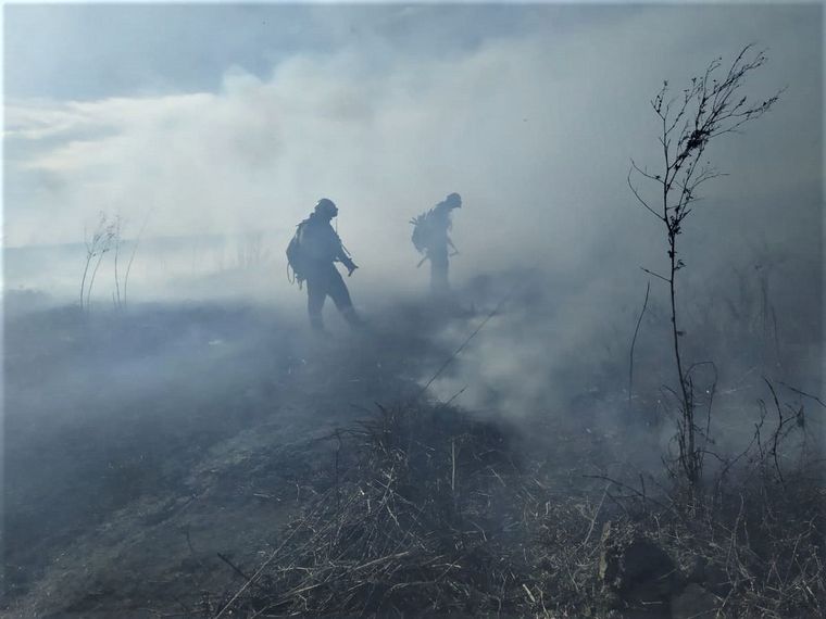 FOTO: Brigadistas combaten incendios, una postal repetida en los últimos años.