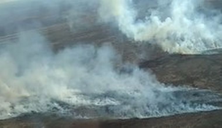 Brigadistas trabajan para sofocar el fuego en las islas frente a Rosario