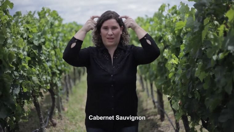 Bodega Monteviejo desarrolló un glosario del vino en LSA